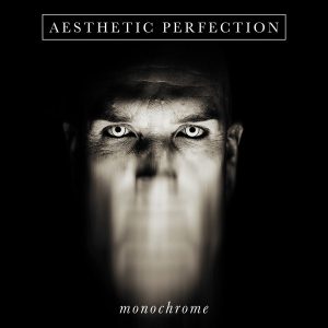 Aesthetic Perfection – Monochrome