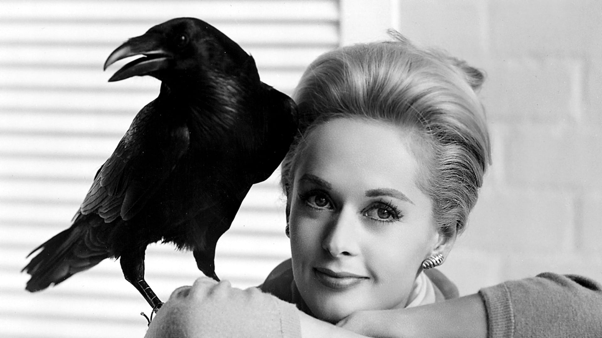 Alfred Hitchcock’s ‘The Birds’