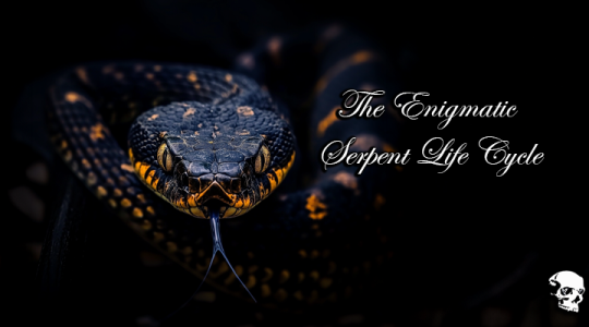 The Enigmatic Serpent Life Cycle